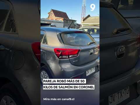 Pareja robó más de 50 kilos de salmón en Coronel