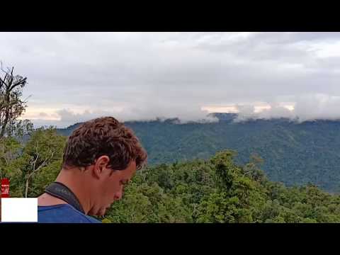 Yapen island Birding-Papua-2019