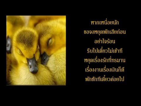 คลิกเพื่อดูคลิปวิดีโอ