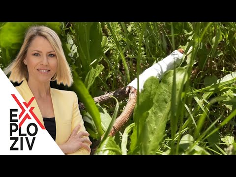 "Rašljar", zaboravljena umetnost traženja podzemnih voda! - EXPLOZIV