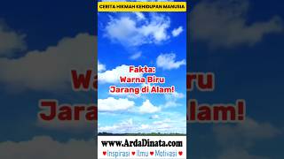Download lagu Fakta: Warna Biru Jarang di Alam!#FaktaUnik #FunFactViral #PengetahuanHarian #shorts #status #short mp3 Download lagu Fakta: Warna Biru Jarang di Alam!#FaktaUnik #FunFactViral #PengetahuanHarian #shorts #status #short mp3