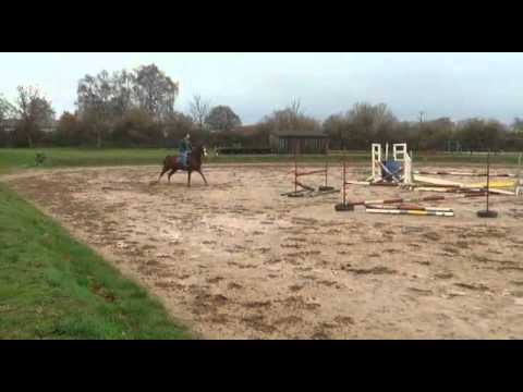 Singulord Joter x Lord Pezi