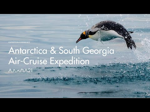 Antarctica & South Georgia Air-Cruise Expedition | Travel Experience