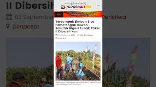 Download lagu Terdampak #limbah Sisa #pemotongan #hewan , Saluran #irigasi #subak Pakel II Dibersihkan mp3