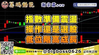 【大戶羅盤籌碼動能】 #謝宗霖1105，指數準備震盪 操作還是選股 低位階高成長 (圖)