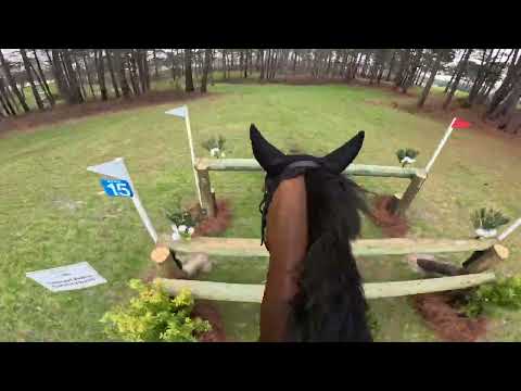 GoPro: Lissavorra Quality (CCI 4* -S | 2025 Carolina International CCI & Horse Trials)