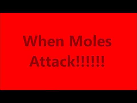 How to Kill Moles, When Moles Attack!!!!!
