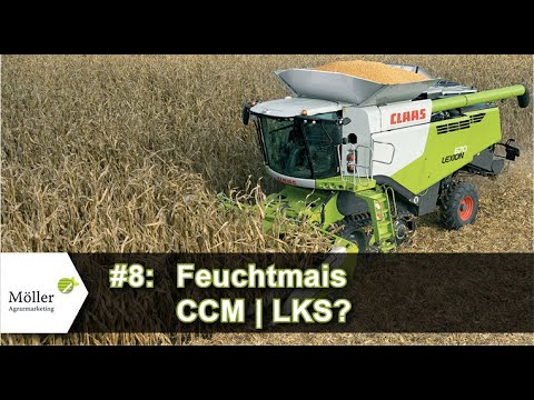 Bonus-TIPP Maisernte 2025 | Feuchtmais, CCM oder LKS - was ist besser?