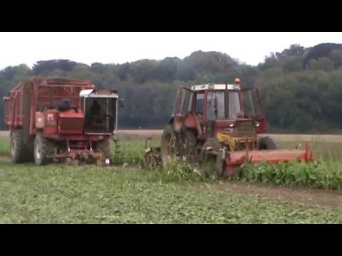 Landb. Vermeulen - Neufmaison