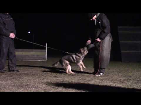 Trixi z Jukasu - protection - 5 months