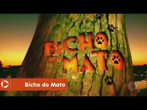 bicho do mato       capitulo 102, terça-feira, 16 de janeiro