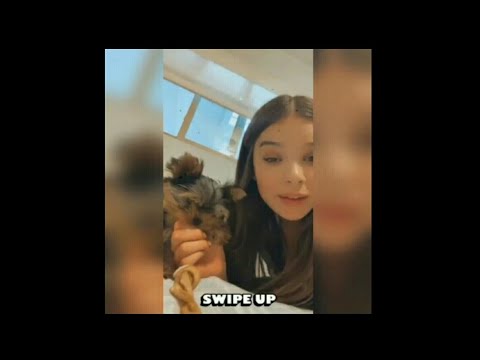 Hailee steinfeld with her dog #84