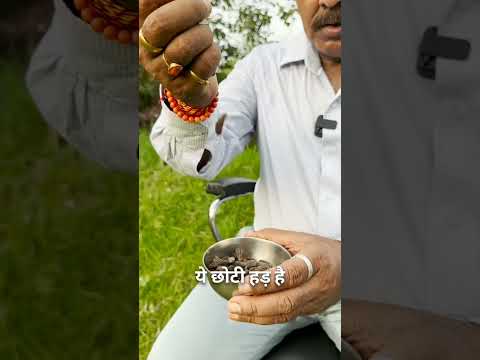 Discover the Ayurvedic Wonder: Harad 🌿