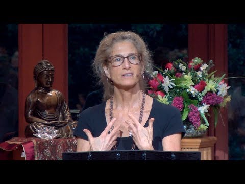 Tara Talks: Remembering Our Shared Humanity