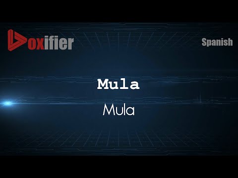 How to Pronounce Mula (Mula) in Spanish - Voxifier.com