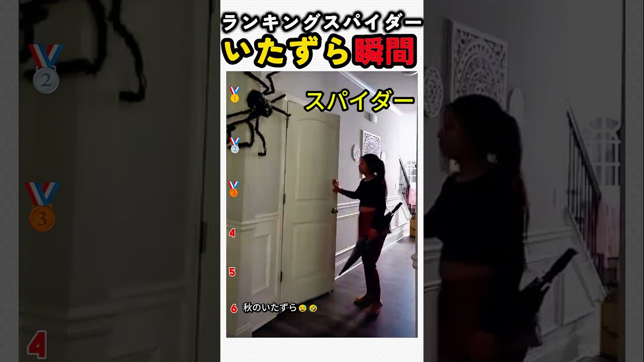 巨大なクモを見て“魂が抜けた”人たち（笑）（注意：失神レベルの衝撃）