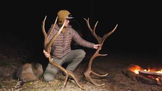 2-Day Campfire & Cook in Big Elk Country! (Shed Hunting for Big Browns)