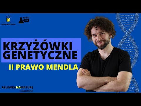 GENETIC CROSSES - MENDEL'S SECOND LAW - [Biology Matura 2023 + studies] 👩‍⚕🧑‍⚕