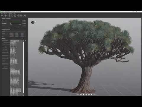 Watch the YouTube video of Dragon tree