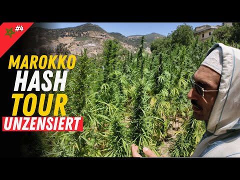 Marokko Cannabis-Farmer Ketama: Alltag Anbau
