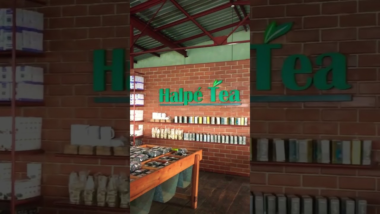 YouTube Short thumbnail