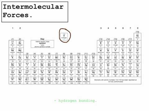 Intermolecular Forces