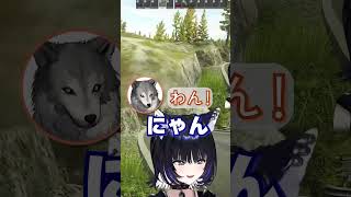 こまvs犬　 #vtuber #尾幌こま #切り抜き #すぺしゃりて #shorts #escapefromtarkov #タルコフ