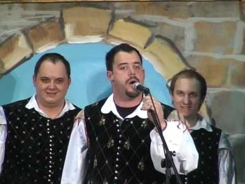 Vrt & Modrijani & Akordi & Naveza & Pogum & Spev-Venček Šifrarjevih (v živo)