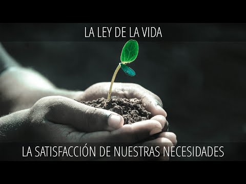 4 - La satisfacción de nuestras necesidades | La Ley de la Vida