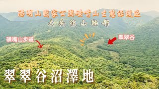 磺嘴山步道翠翠谷到大尖後山鞍部#陽明山#擎天崗#水牛#磺嘴山