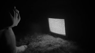 V01D Music Video