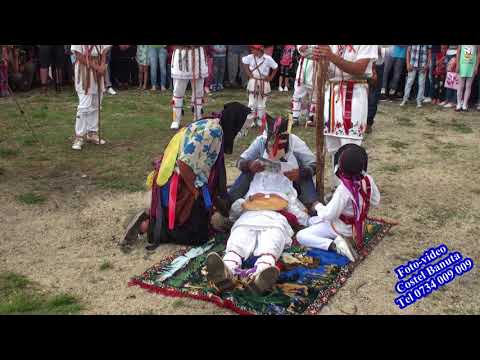 CALUSARII DE LA VERGULEASA-OLT