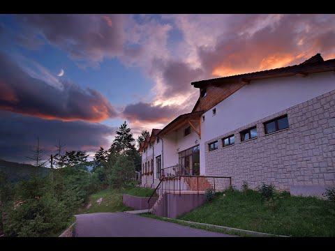 Poiana Verde poate fi alegerea perfecta de relaxare