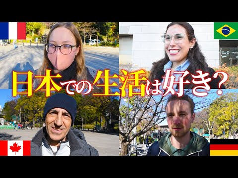 国際教養学科 日本在住の外国人に日本での生活の感想を聞いてみた