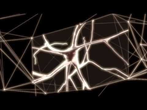 Sterling Moss   'Acid In My Mind'   Stay Up Forever   SUF 100 4