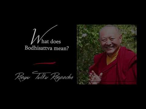 33. What does Bodhisattva mean? | Answers for Beginners | Ringu Tulku Rinpoche