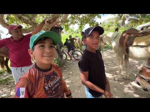 Feira deCavalos do Bola em Monteiropolis - AL 26 07 - 2026 #nordeste 