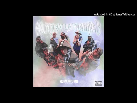 Aleman ft Bhavi, Akasha & Cozy Cuz - Cómo Diamante (Audio)