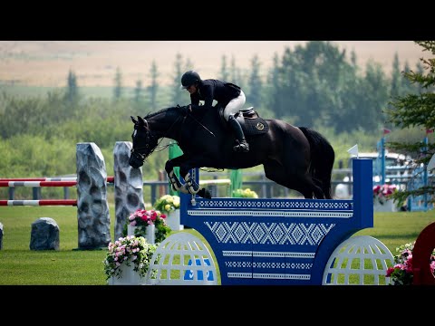 Saga V/D Voortakker horse shows