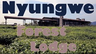 Nyungwe Forest Lodge - Nyungwe, Rwanda