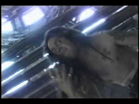 Sangre video
