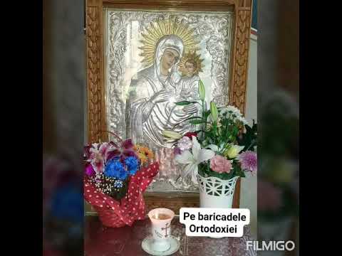 Ascultă, fiică, şi vezi şi pleacă urechea ta şi uită pe poporul tău şi casa părintelui tău.