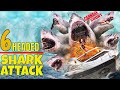 6 Headed Shark Attack 2018 Carnage Count