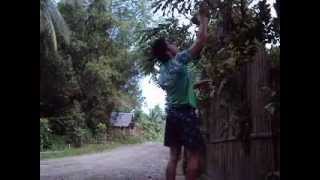 preview picture of video 'sepak takraw cartwheel practice....'