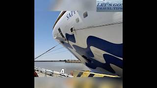 Princess Cruises: Missed Port? Get Your Taxes Back! #shorts