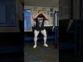 leg workout/ tréning nôh