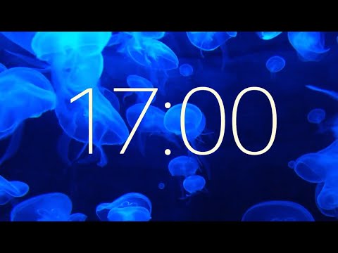 17 Minute Timer with Ambient Music and Jellifish