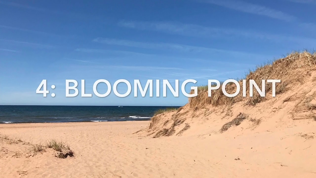 5 Beaches to Explore within 30 Minutes of Charlottetown, Prince Edward Island