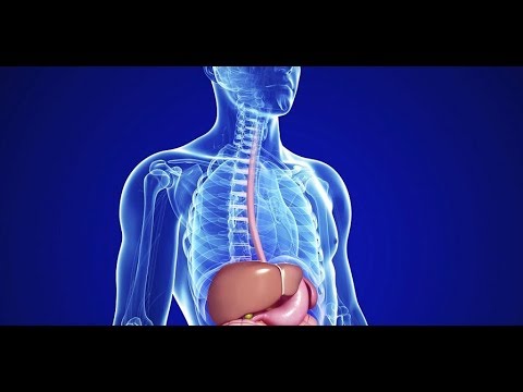 Tvoj organizam tokom posta