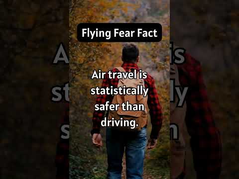Flying Fear Fact #travel #flying #fear